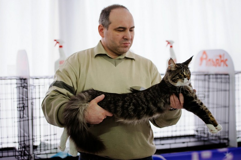 HoneyDevil Walter, Зимний Гла-Мурр -2015, VICTORY