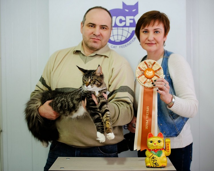 HoneyDevil Walter, Зимний Гла-Мурр -2015, VICTORY