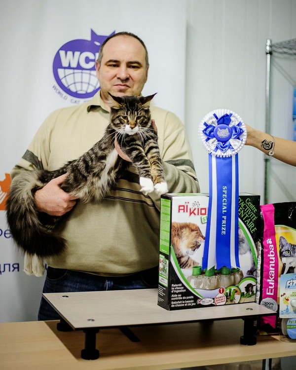 HoneyDevil Walter, Зимний Гла-Мурр -2015, VICTORY