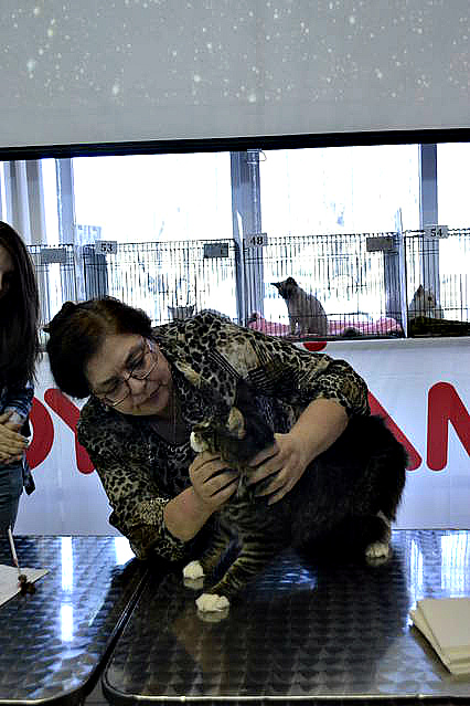 Космокот, Серпухов, VICTORY, 11-12 апреля, 2015