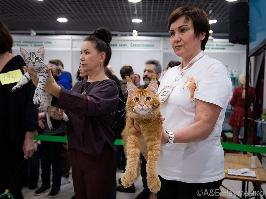 0919 РокКош 101021