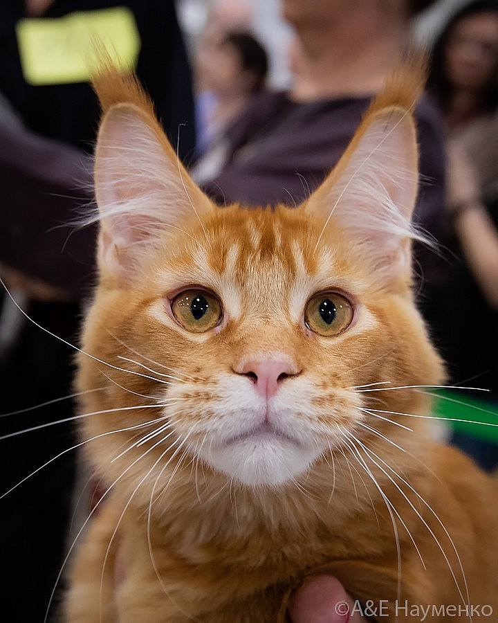 0921 РокКош 101021