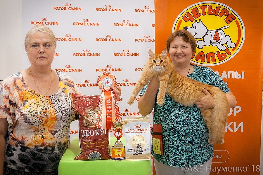 c866eb3eb86d8e1773ce51960316a6c4