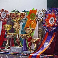 Картинки с выставки 18-19 июня 2022