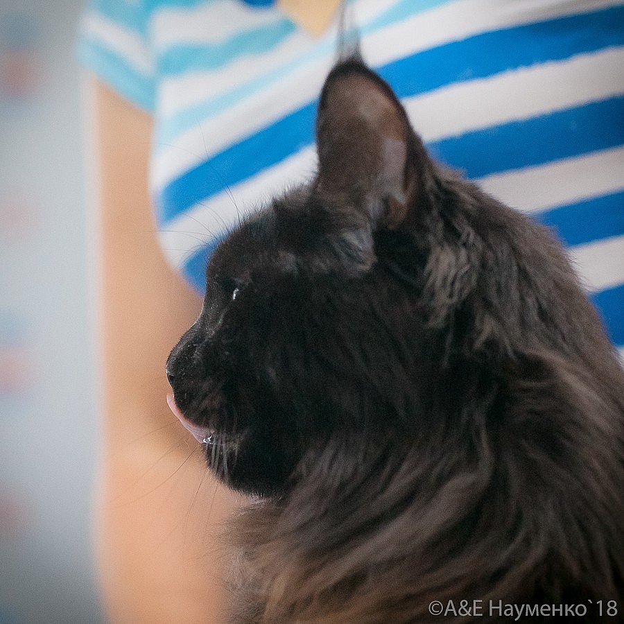 9fee5885c99bcddcedff56ab145f8f3b