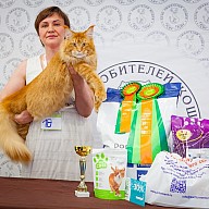 Летний карнавал 2-3 июля 2022