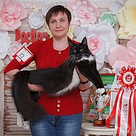 Фоторепортаж с выставки «РосКош»