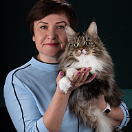 Мы с кошками