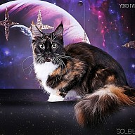 Yoko Family Stars (Йоко)