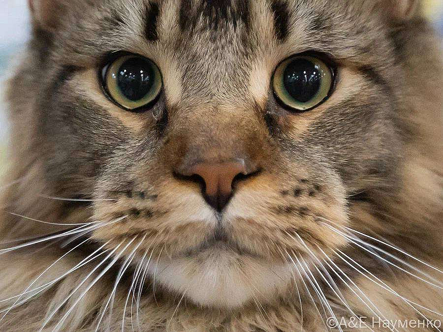 photo_2025-03-23_14-48-33