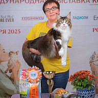 Фелис "Мурчащее - значит лучшее", 11-12 октября 2025