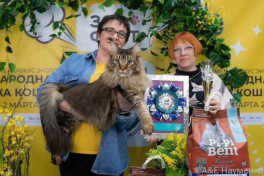 photo_2025-03-23_14-48-56