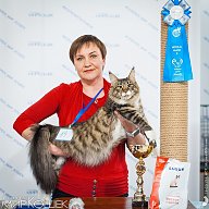 Первые выставки Барселоны