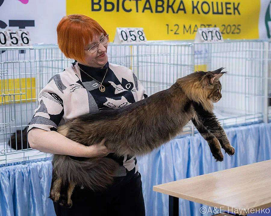 photo_2025-03-23_14-49-07