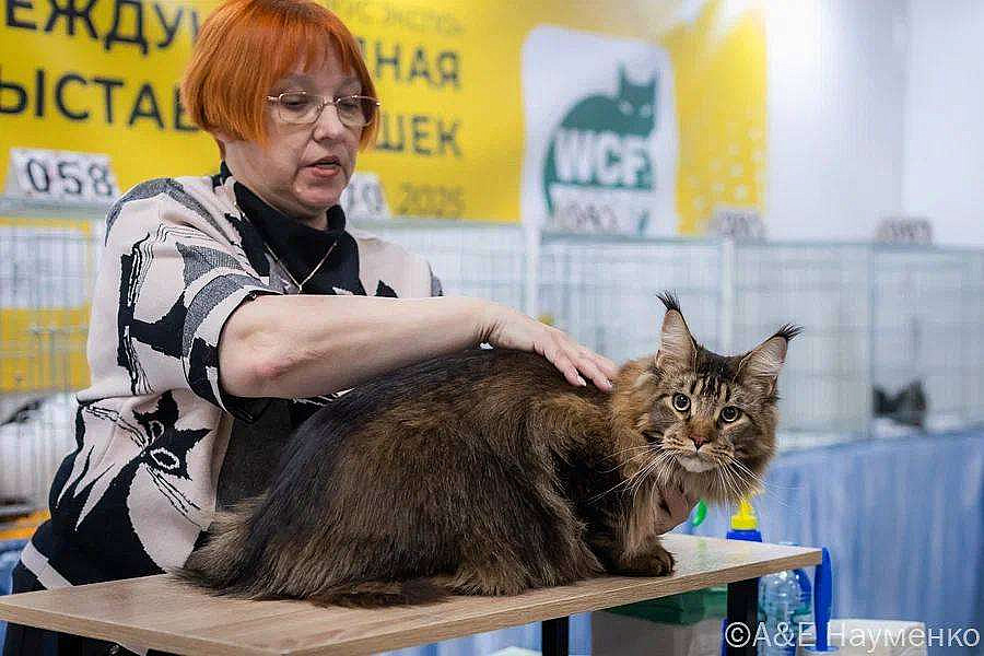 photo_2025-03-23_14-49-18