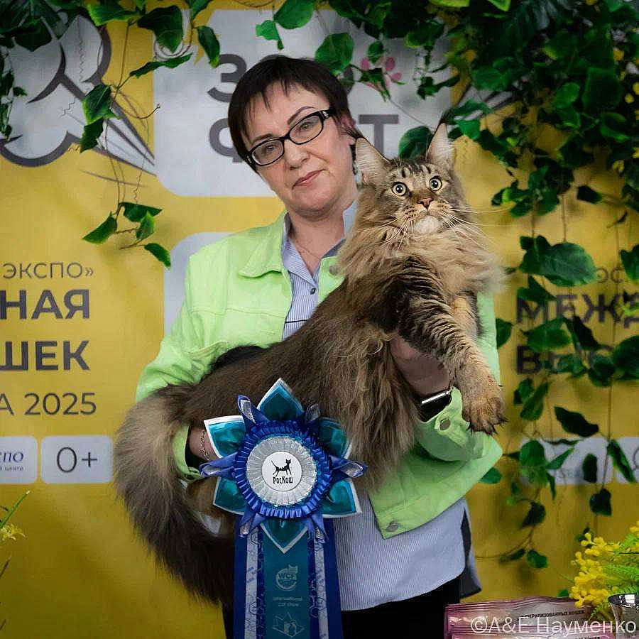 photo_2025-03-23_14-49-34