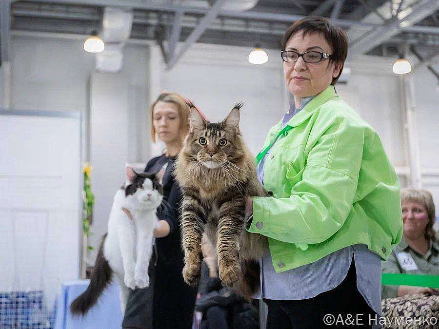 photo_2025-03-23_14-49-29