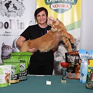 Котознайка, Обнинск, 15 октября 2022