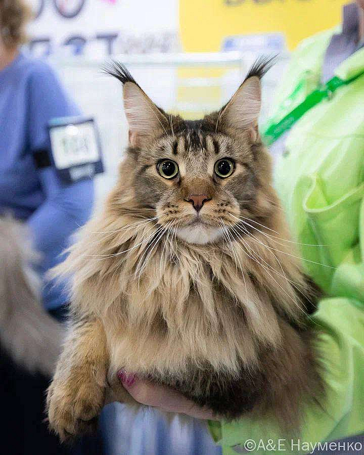 photo_2025-03-23_14-49-45