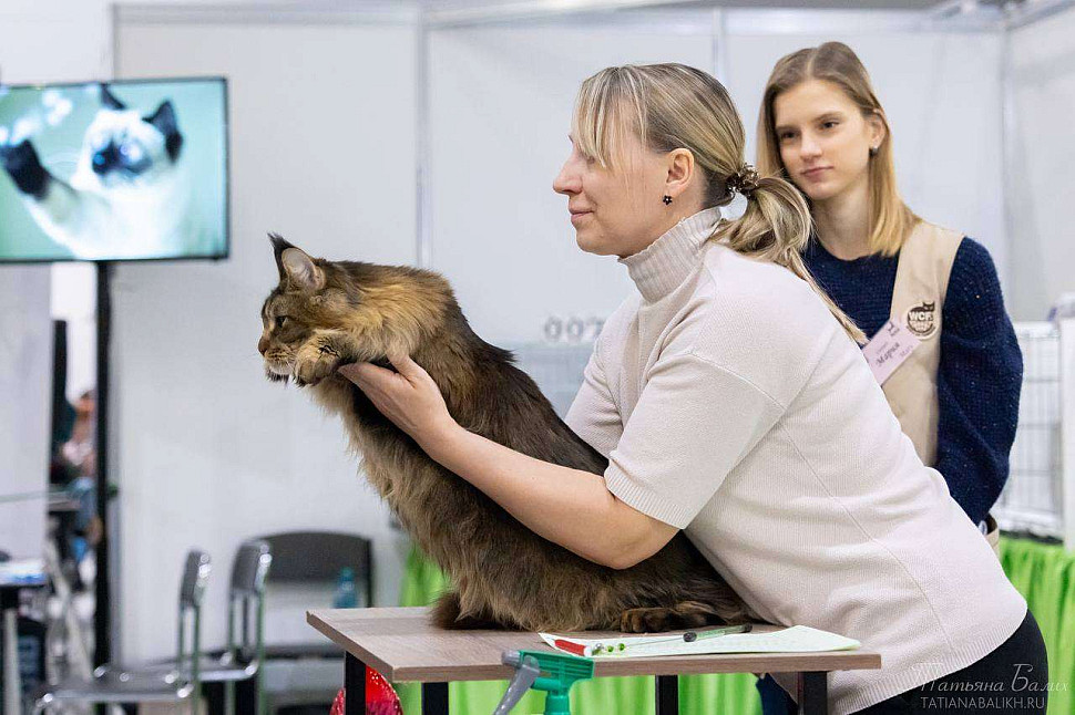 photo_2025-03-23_14-49-56