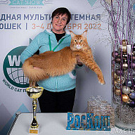 Winter Cat Show - 2022