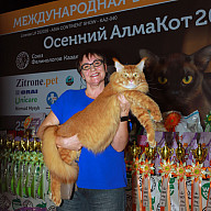 "Осенний АлмаКот" 25 октября 2025, г. Алматы, Казахстан