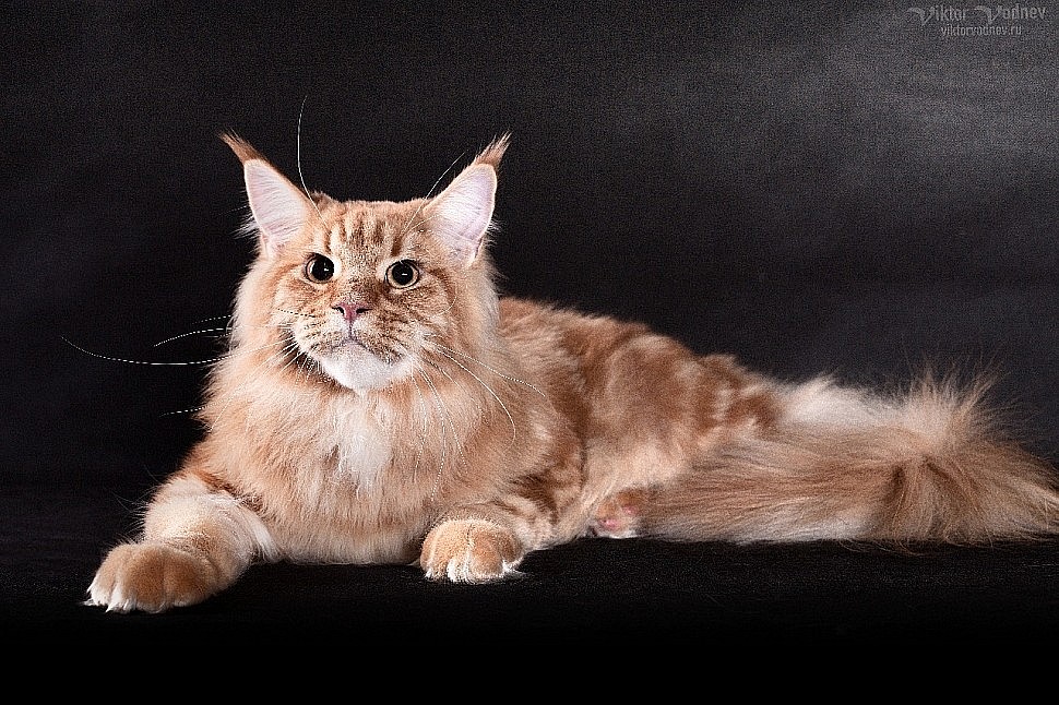 7bd0b0a1-9274-4db0-85c2-7d7970e58c95