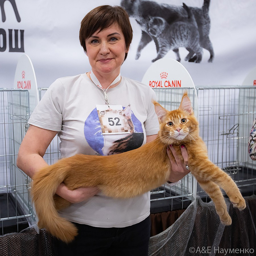 0173 РокКош 091021