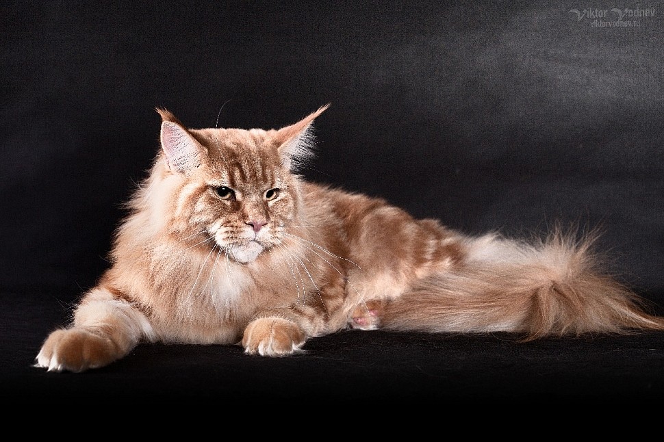 bf2279fb-2f61-413a-9d84-e10ff9b663c0