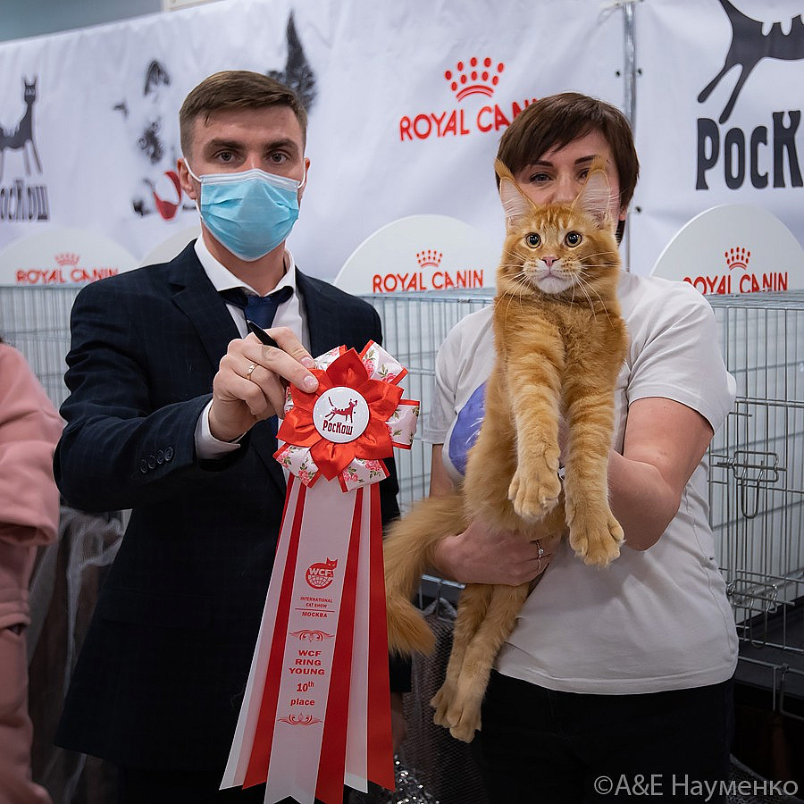 0197 РокКош 091021