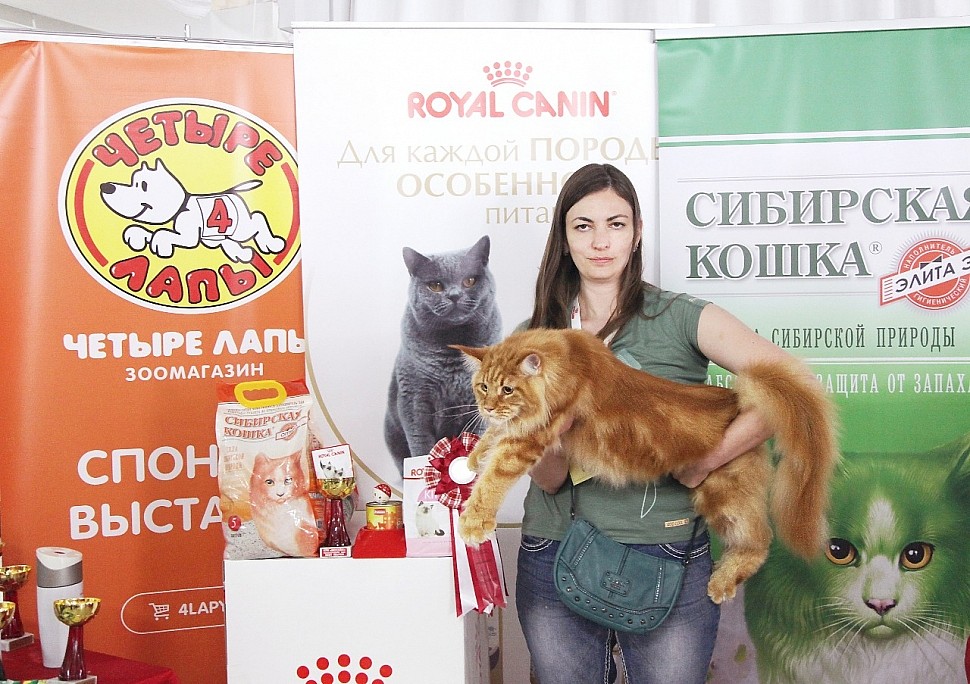 c2f0d312-430f-4d66-8630-a3983ae5e265