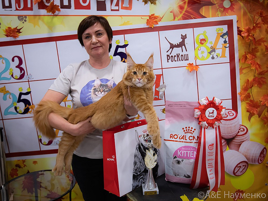 0198 РокКош 091021