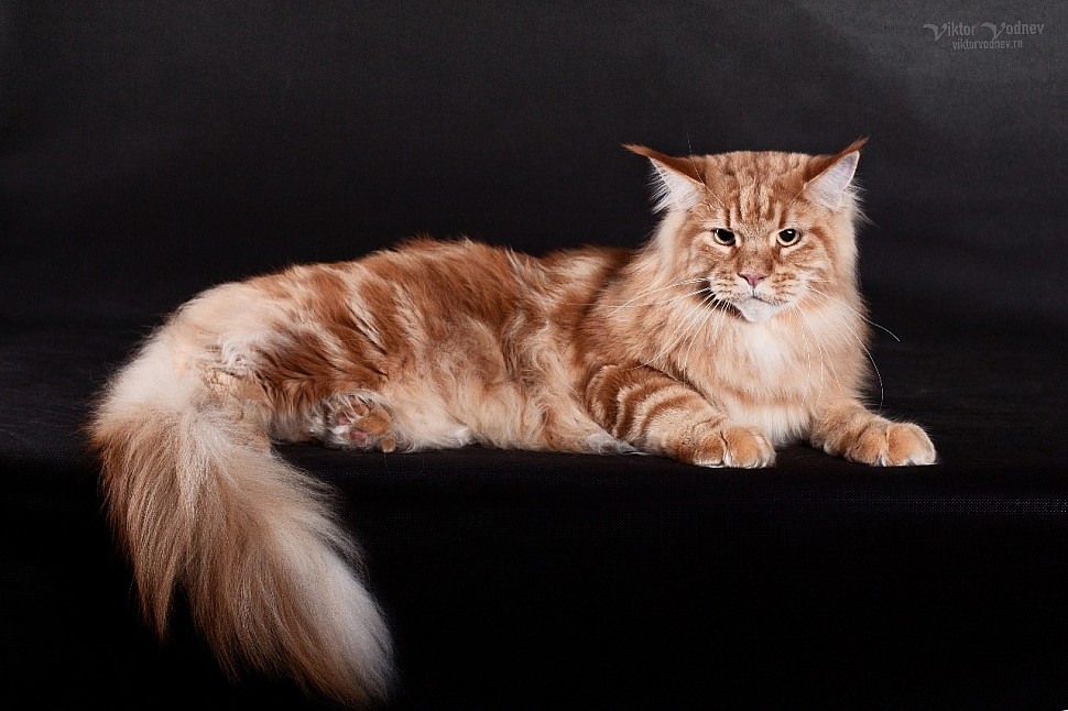 c8ea013f-9668-48de-95a5-a2dcfd641f47