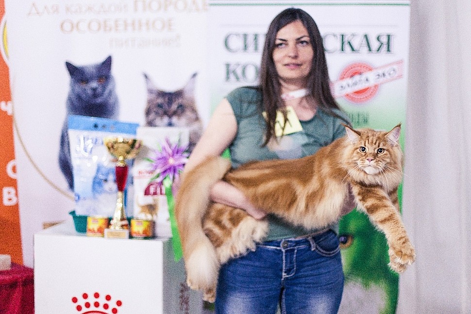 d8924dbe-ed81-424e-82ae-60d61b16e07c