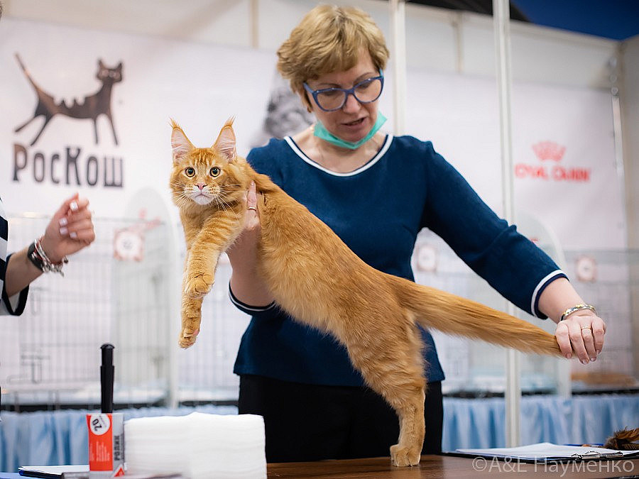 0552 РокКош 101021