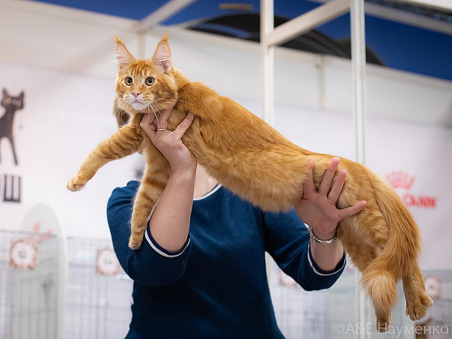 0553 РокКош 101021