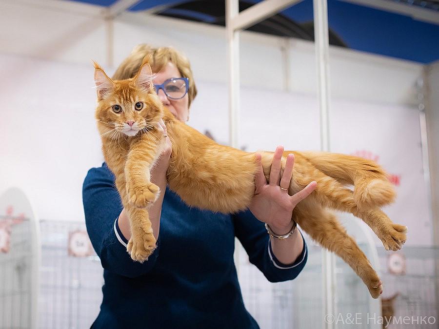 0554 РокКош 101021