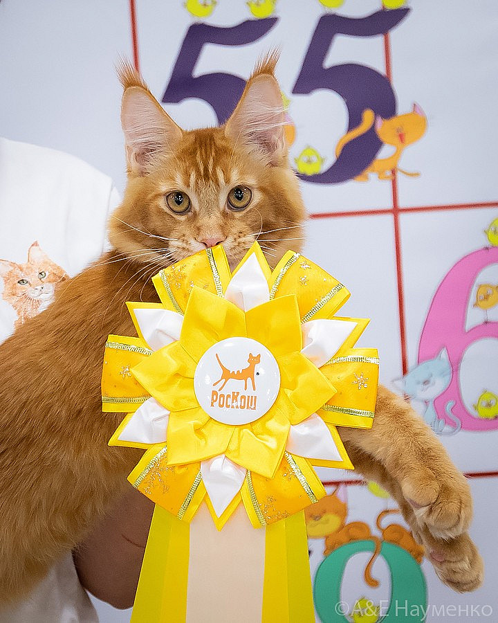 0690 РокКош 101021