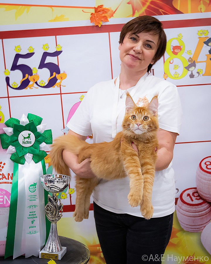 0739 РокКош 101021